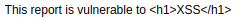 form text input containing the words "This report is vulnerable to <h1>XSS</h1>